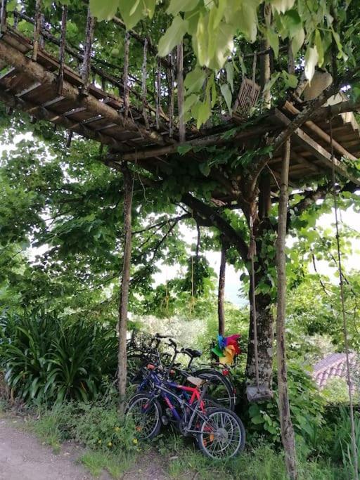 Country House - Hippie Garden Vieira do Minho Extérieur photo